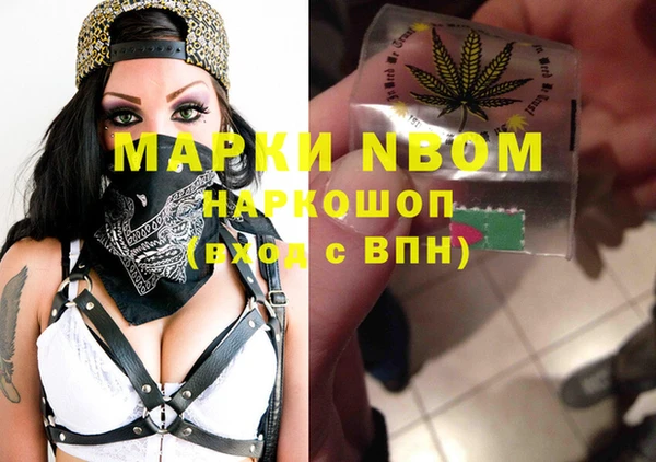 PSILOCYBIN Аркадак