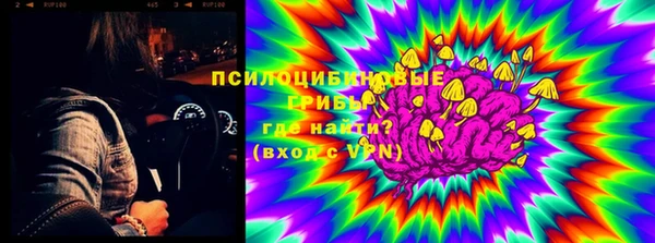 PSILOCYBIN Аркадак