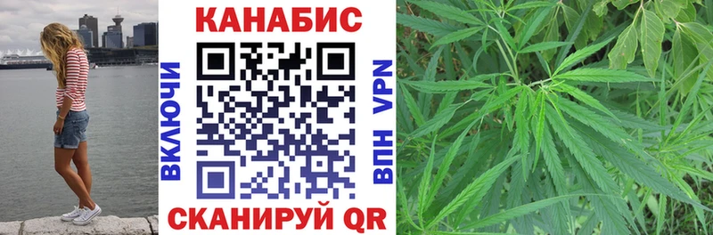 где найти наркотики  Избербаш  Марихуана сатива 